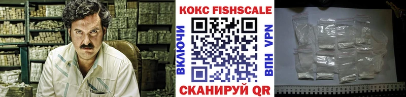Cocaine Fish Scale  Купить где  Суздаль 